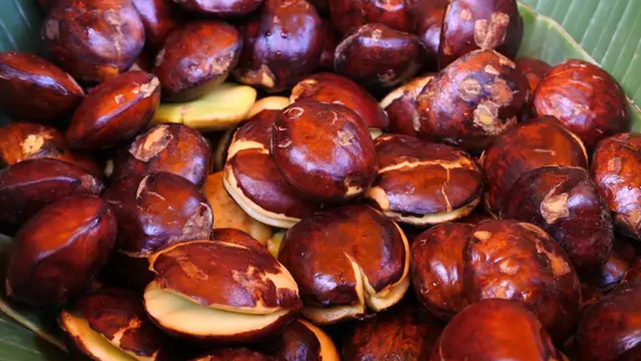 Cara Cepat Membuat Jengkol Empuk dalam 5 Menit Tanpa Panci Presto