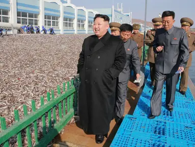 Pemimpin Korea Utara, Kim Jong-un mengunjungi stasiun perikanan di Pyongyang, Kamis (17/11). Kunjungan ini dilakukan karena hasil tangkapan ikan yang melebihi perkiraan. (REUTERS/KCNA)