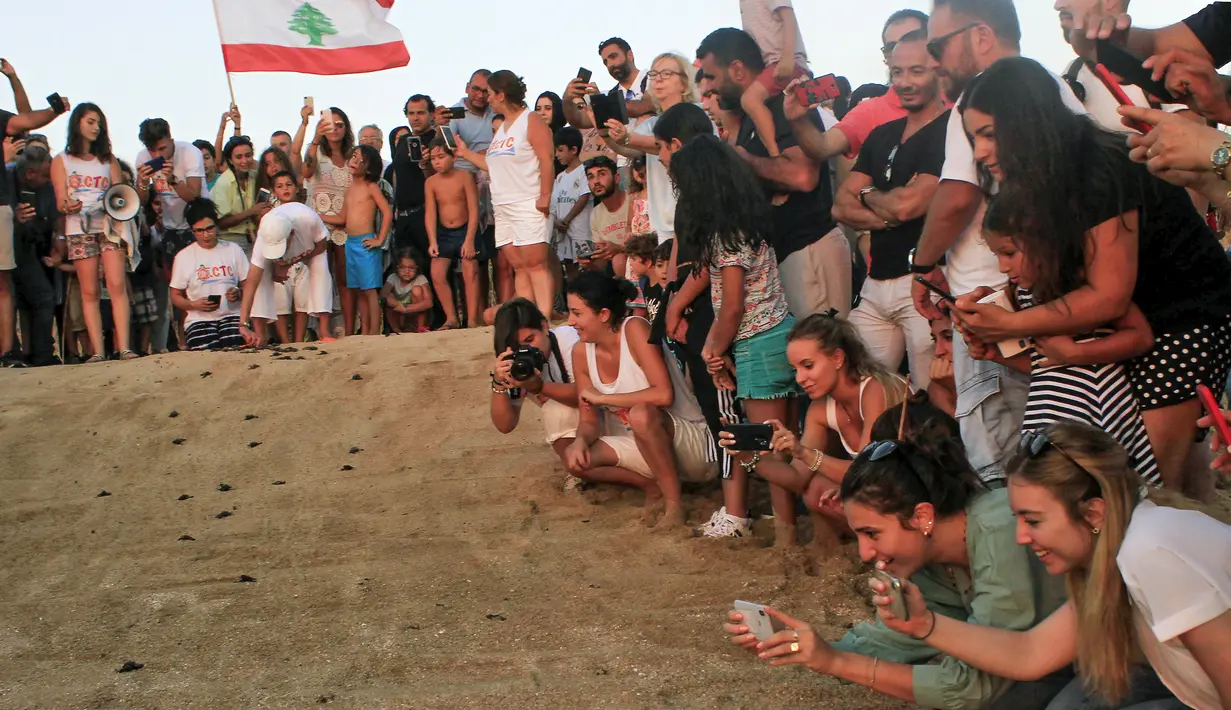 Sejumlah pengunjung melihat pelepasan tukik di pantai al-Mansouri dekat kota Tyre, Lebanon selatan (31/7/2019). Pelepasan ratusan anak penyu ini bagian pelestarian hewan yang terancam punah. (AFP Photo/Mahmoud Zayyat)
