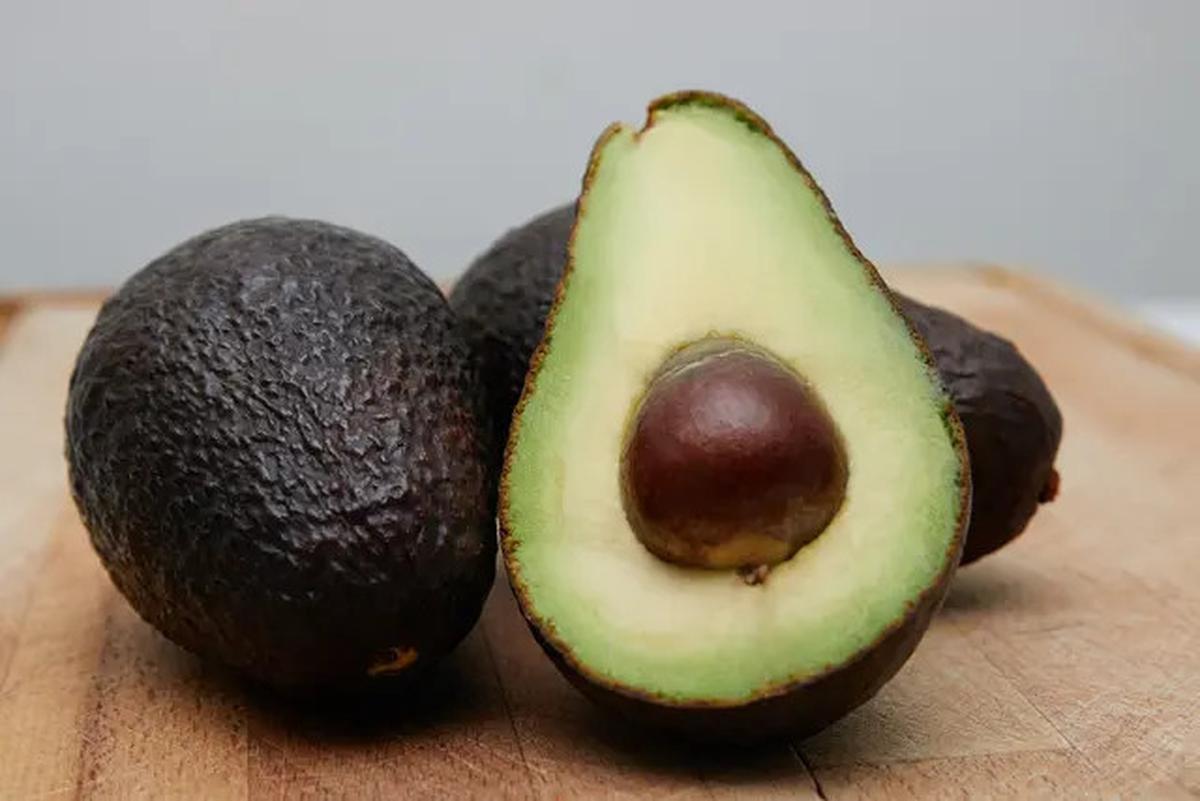 Resep Seduhan Daun Alpukat untuk Menurunkan Kolesterol dan Darah Tinggi