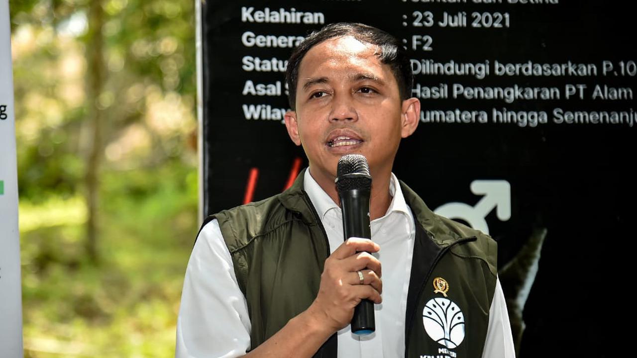 DPR Sentil Raja Juli soal Banyak Kader PSI di FOLU Net Sink: Harusnya Profesional, Bukan Afiliasi Menhut