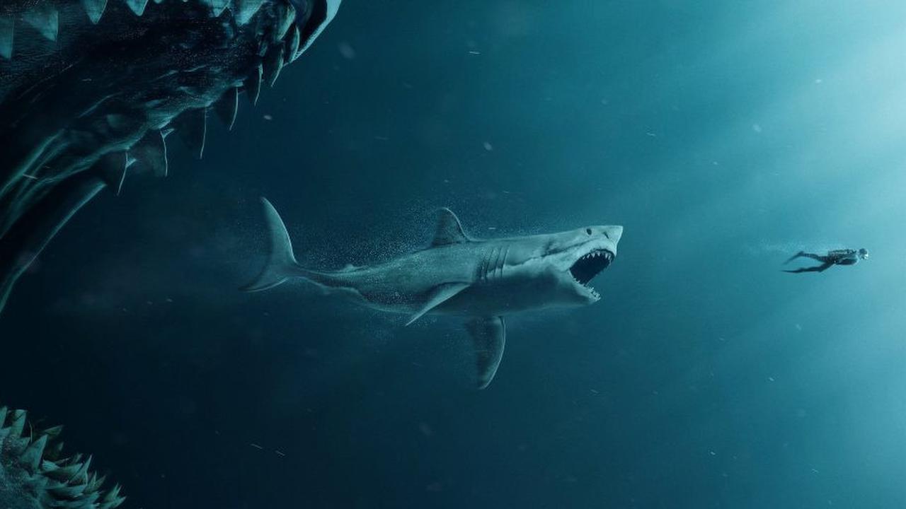 Selama Ini Jadi Perdebatan Ilmuwan, Ukuran Hiu Purba Megalodon Ternyata Bisa Setara Lapangan Basket
