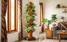 8 Desain Vertical Garden Indoor untuk Ruang Tamu, Inspirasi Estetik Bikin Rumah Adem