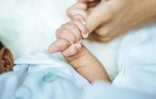 Kokain Ditemukan di Tubuh Seorang Bayi Berusia Sebulan, Polisi Tangkap Orang Tuanya