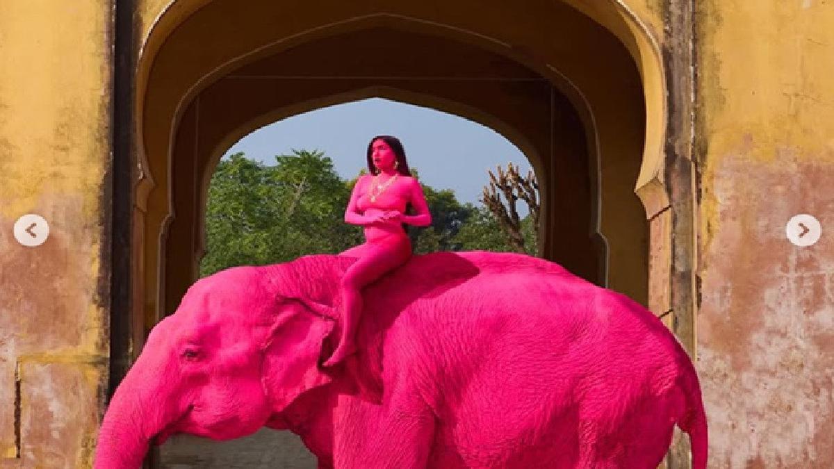Kontroversi Kematian Gajah Pink di India yang Dihujat Aktivis, Faktanya Diungkap Dokter Hewan