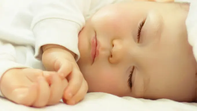 courtesy shutterstock