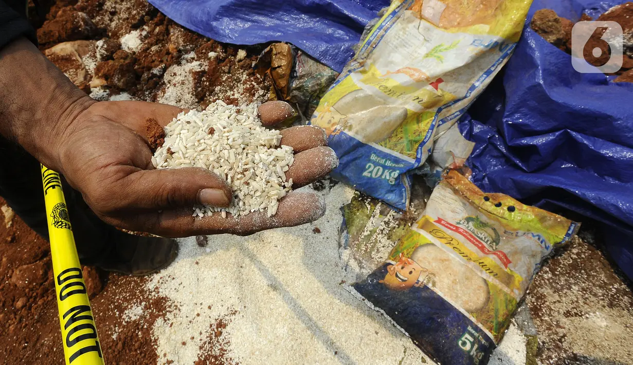 Warga menunjukkan beras diduga bansos presiden di kawasan Kampung Serab, Sukmajaya, Depok, Jawa Barat, Rabu (3/8/022). Dari berita acara pemendaman, diketahui beras yang dikubur sebanyak 3.675 kg atau 289 karung. (merdeka.com/Arie Basuki)