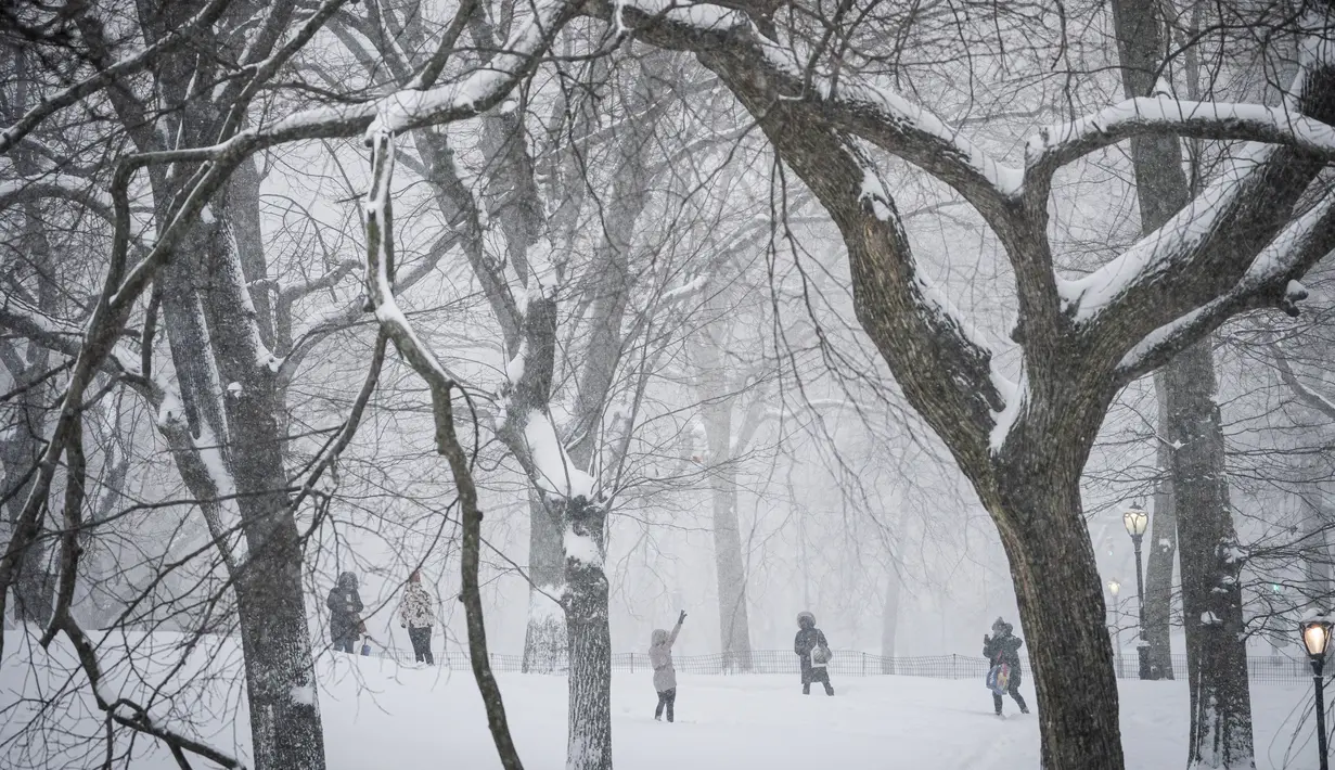 Orang-orang mengambil foto di Central Park saat badai salju melanda New York, Senin, (1/2/2021). Badai salju menyebabkan timbunan salju setinggi satu kaki di sepanjang wilayah pesisir timur Amerika Serikat, termasuk New York. (AP Photo/Wong Maye-E)