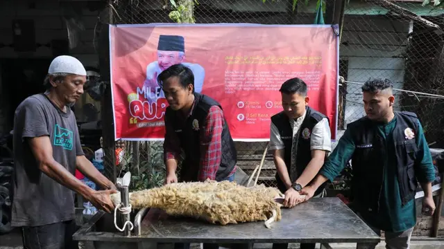 Kelompok anak muda yang tergabung dalam Ganjar Milenial Center (GMC) Sumatera Utara (Sumut), turut memperingati Hari Raya Idul Adha 1444 Hijriah dengan menggelar 'Milenial Qurban' di Kota Medan, Sumut (Istimewa)