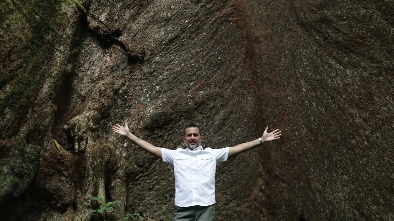 Wagub Sumut, Musa Rajekshah