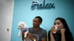 Pengunjung bermain bersama anak anjing saat mengunjungi Dog Cafe di Los Angeles, AS (7/4). Di kafe ini pengunjung dapat bermain dan mengadopsi anjing yang berada di kafe ini. (REUTERS/Lucy Nicholson)