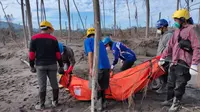 Relawan NasDem membantu evakuasi jenazah korban letusan Gunung Semeru. (Istimewa)