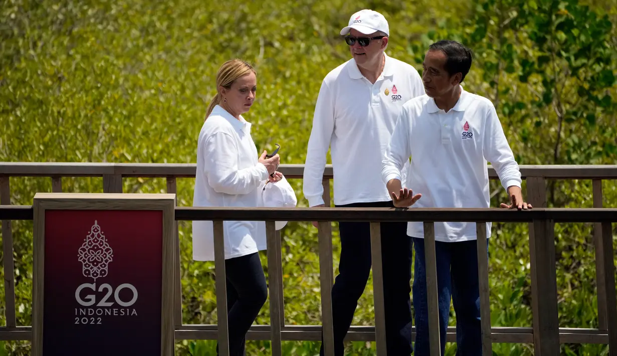 Presiden Indonesia Joko Widodo atau Jokowi (kanan) berjalan bersama Perdana Menteri Italia Giorgia Meloni (kiri) dan Perdana Menteri Australia Anthony Albanese saat mengunjungi area pembibitan bakau sebagai bagian dari KTT G20 di Denpasar, Bali, Indonesia, Rabu (16/11/2022). (AP Photo/Dita Alangkara,Pool)