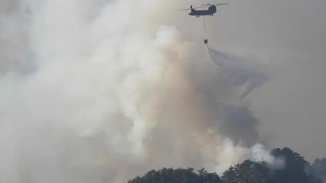 Kebakaran Hutan Hebat Landa Jepang, Ribuan Orang Dievakuasi