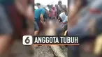 vertical buaya