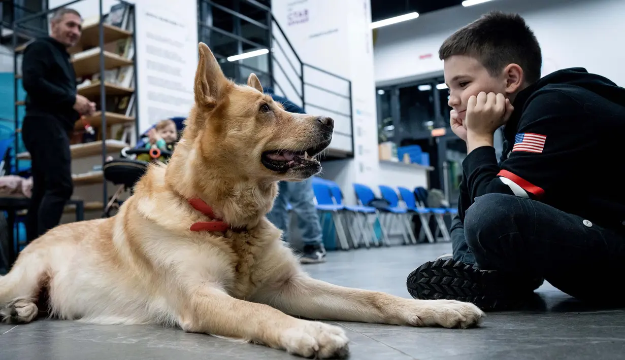 Seekor anjing bernama Nike terlihat sedang mengikuti sesi terapi anjing di Kyiv, Ukraina, Kamis, 26 Oktober 2023. (AP Photo/Roman Hrytsyna)