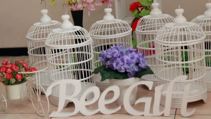 (c) bee gift souvenir