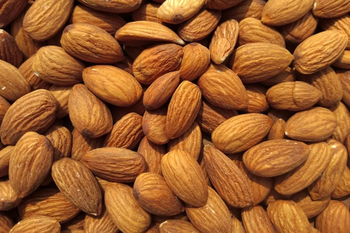 Ilustrasi almond