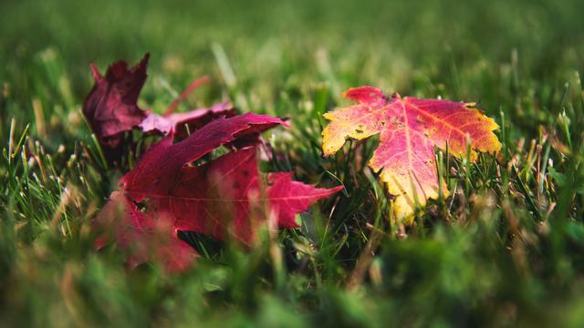 Ilustrasi perubahan, berubah