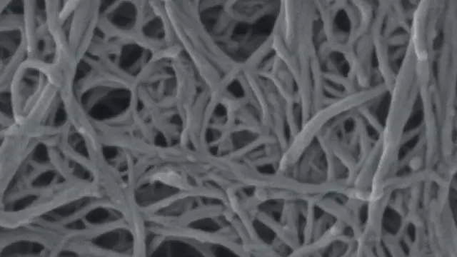 Cellulose nanofiber network