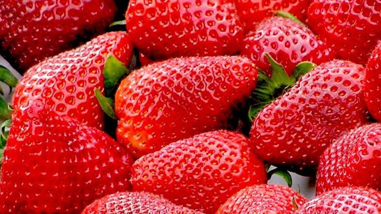 3.&nbsp;Stroberi: Warna Merah Muda yang Bergizi