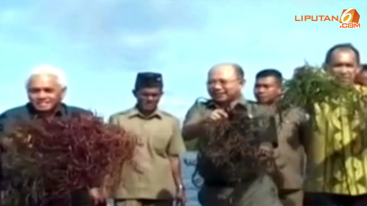 Hatta Rumput Laut - Liputan6 Pagi