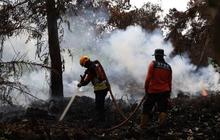 Asap Kebakaran Hutan Kepung Pontianak Diprediksi hingga September