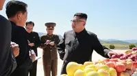 Pemimpin Korea Utara, Kim Jong-Un memeriksa apel-apel yang sudah panen saat mengunjungi sebuah perkebunan  di Kwail County, provinsi Hwanghae Selatan pada foto yang dirilis Kamis (21/9). (STR / KCNA VIS KNS / AFP)