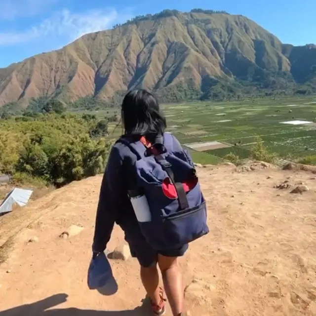 Pergi traveling