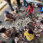 Para nelayan di Sungai Rebaq Rinding, Kecamatan Muara Muntai, Kabupaten Kutai Kartanegara mengolah ikan air tawar menjadi ikan asin. Meski terpencil, ikan olahan nelayan ini menembus pasar di Pulau Jawa.