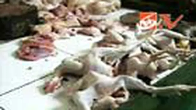 Harga Ayam Melonjak, Pedagang dan Pembeli Pasrah