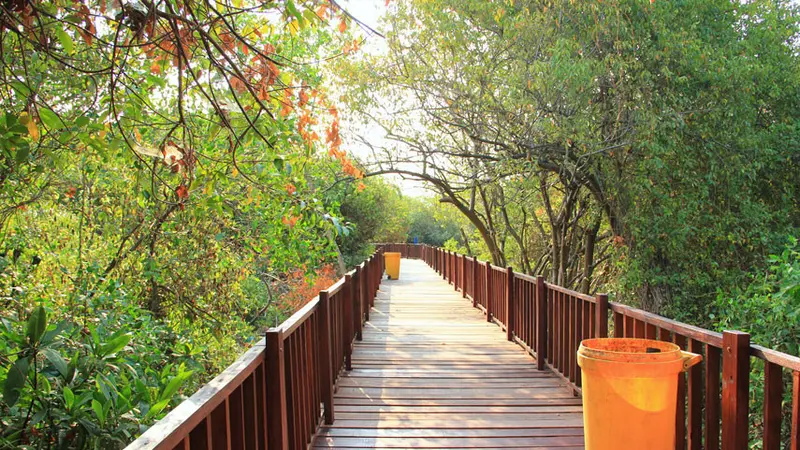 Ekowisata Mangrove Wonorejo