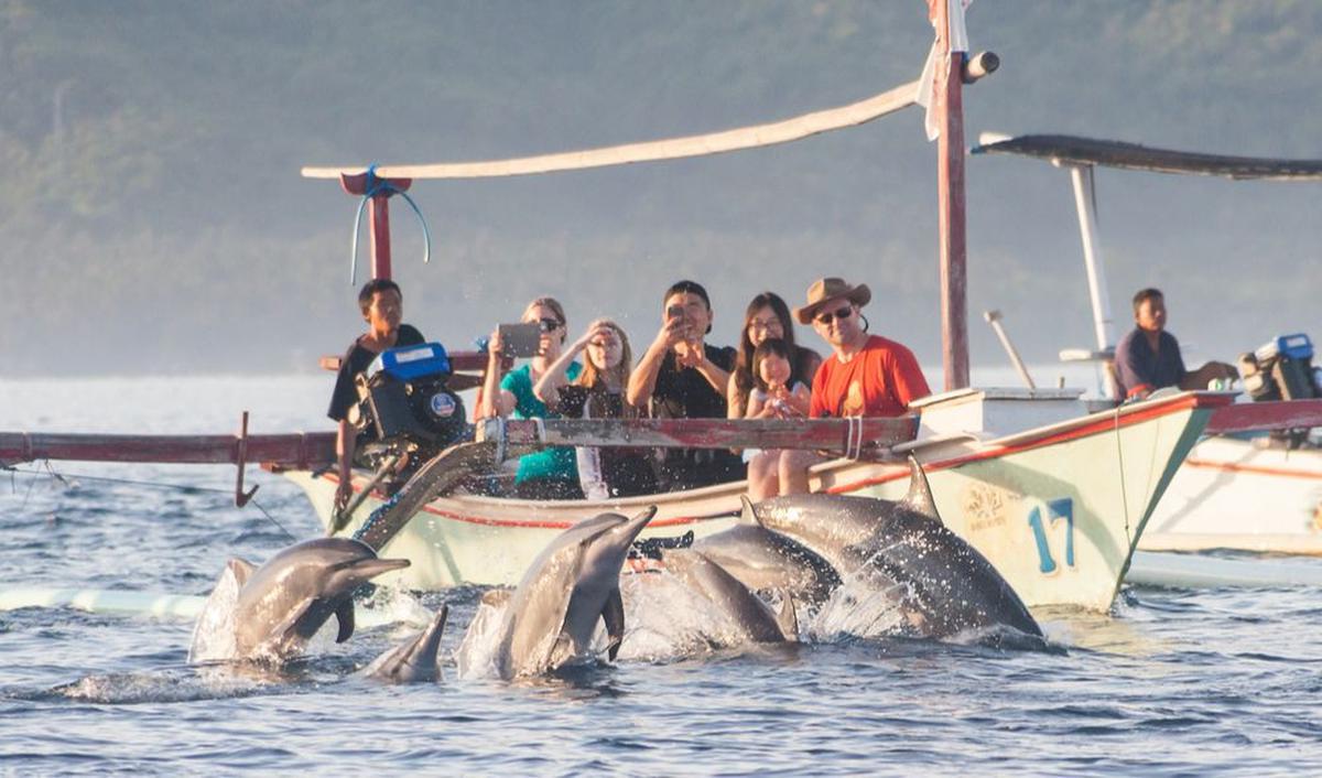 Pantai Lovina: Bisa Lihat Aksi Lumba-Lumba<br>