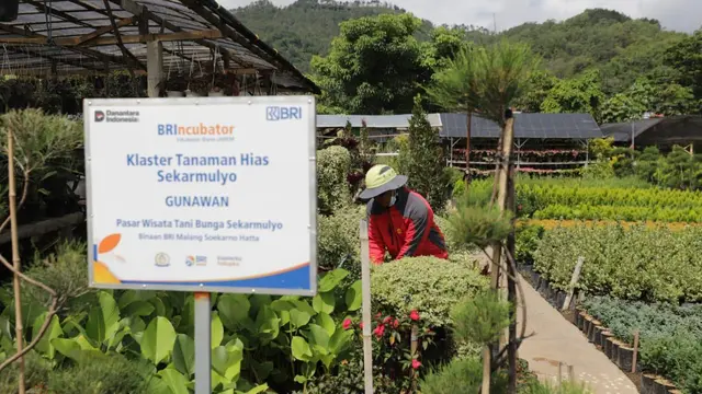 Penguatan Ekonomi Kerakyatan, Holding UMi BRI Salurkan Pembiayaan Rp632 Triliun ke 34,5 Juta Debitur