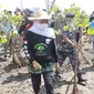 Khofifah bersama Wakil Ketua DPRD Jatim Anik Maslachah kompak dalam giat nandur mangrove di Pantai Bohay Probolinggo. (Istimewa).