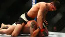 Pemain UFC Jason Saggo (atas) saat akan memukul lawannya Justin Salas pada pertandingan UFC 196 di MGM Grand Garden Arena, Las Vegas, (5/3). UFC adalah singkatan dari (ULTIMATE FIGHTING CHAMPIONSHIP). (Rebilas-USA TODAY Sports)