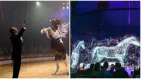 Tak Gunakan Binatang, Sirkus Ini Hadirkan Hewan Hologram yang Pukau Penonton