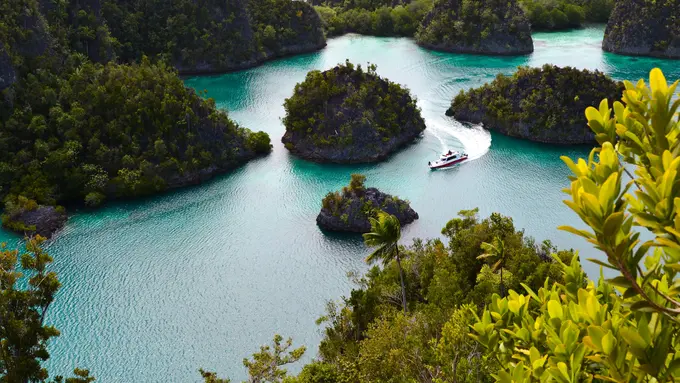 Ilustrasi Raja Ampat, objek wisata di Papua