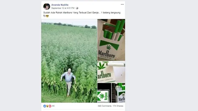 Rokok Ganja Marlboro M