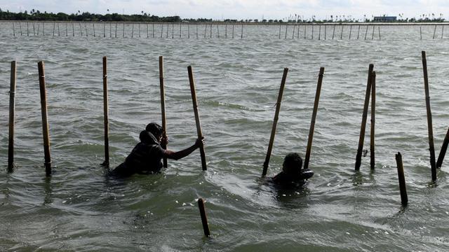 Ditarget Selesai Paling Cepat 10 Hari, TNI AL Bersama Nelayan Cabut Pagar Laut di Tangerang
