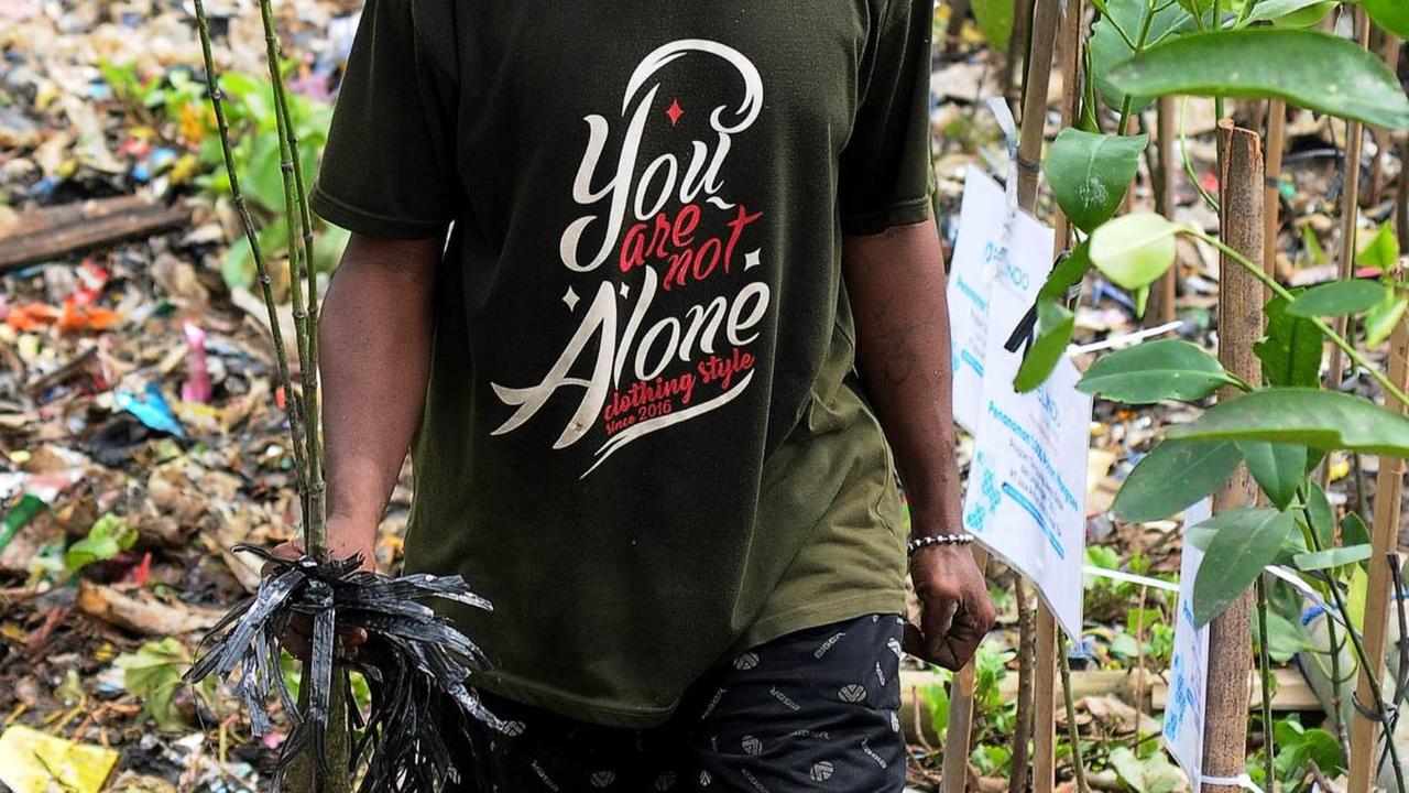 Aktivitas pekerja saat menanam pohon bakau di kawasan Eco Marine Mangrove, Muara Angke, Jakarta, pada Rabu (26/7/2023).
