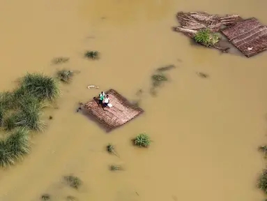 Warga bertahan di atap rumah yang terendam banjir sambil menunggu bantuan paket makanan yang didistribusikan oleh helikopter Angkatan Udara India di pinggiran Allahabad, India, Kamis (25/08). (REUTERS / Jitendra Prakash)