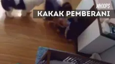 Video penyelamatan ini diunggah oleh sang ibu, agar menjadi pelajaran bagi orangtua di seluruh dunia.