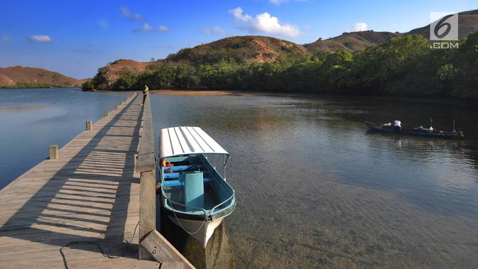 Perahu wisatawan ditambatkan pada sebuah teluk di Pulau Rinca, Taman Nasional Komodo, NTT, Minggu (14/10). Pulau Rinca berada di sebelah barat Pulau Flores dan dipisahkan oleh Selat Molo. (Merdeka.com/Arie basuki)