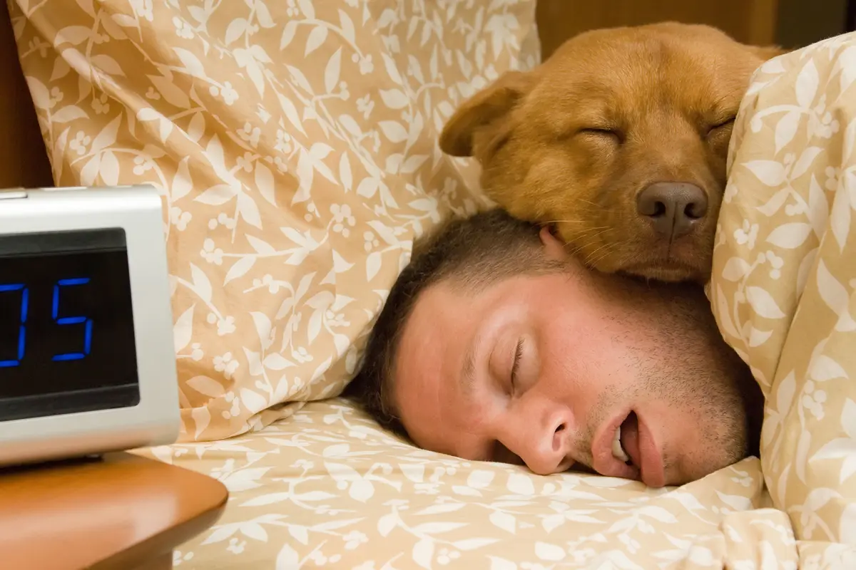 Tidur Nyenyak Tidur Pulas