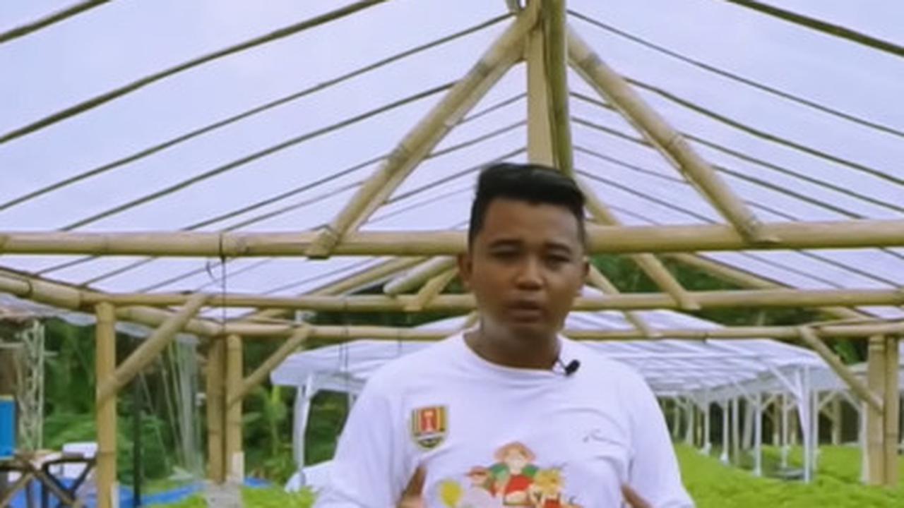Modal Awal Hanya Rp 2 Juta, Pemuda di Semarang Ini Sukses Bertani Hidroponik Selada, Dulu Laku 5 Kg Kini 60 Kg Per Hari