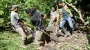 Orang-orang memindahkan anak gajah yang mati akibat luka terkena jerat di pusat konservasi gajah di Saree, Aceh Besar, 16 November 2021. Anak gajah betina yang diperkirakan berumur 12 bulan itu mengalami luka serius akibat terkena jerat di bagian tengah belalai pada (14/11). (Jumala JAMAL/AFP)