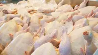 Ilusrasi Daging Ayam di Jember (Istimewa)
