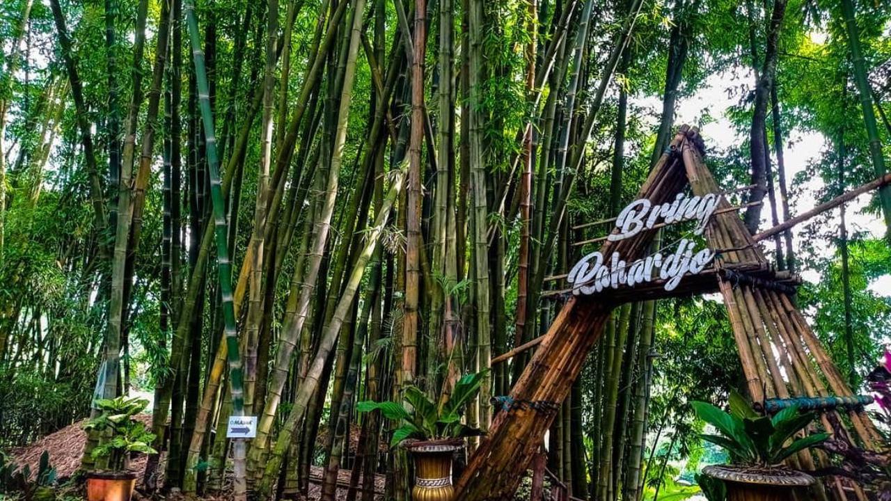 Bring Rahardjo, dari Tempat Buang Sampah Jadi Spot Nongkrong Asyik di Batu Malang