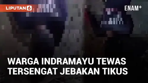 VIDEO: Warga Gabus Wetan Indramayu Tewas Tersengat Jebakan Tikus Listrik
